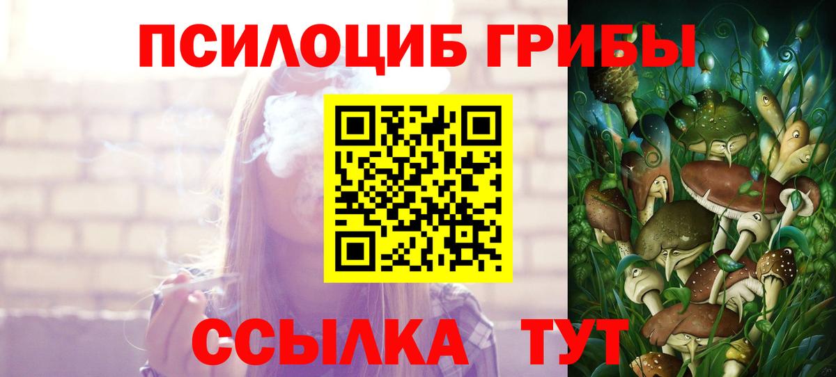 Касимов  Галлюциногенные грибы Psilocybe  Вход с VPN  Псилоцибиновые грибы Magic Shrooms 
